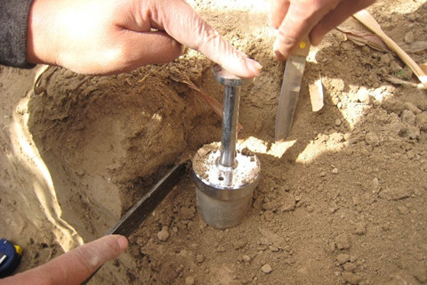 土壤調查的內容有哪些？