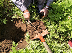 華清環(huán)境土壤采集樣品 華清環(huán)境土壤采集樣品