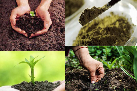 1611039723669494.jpg 土壤環(huán)境1.jpg