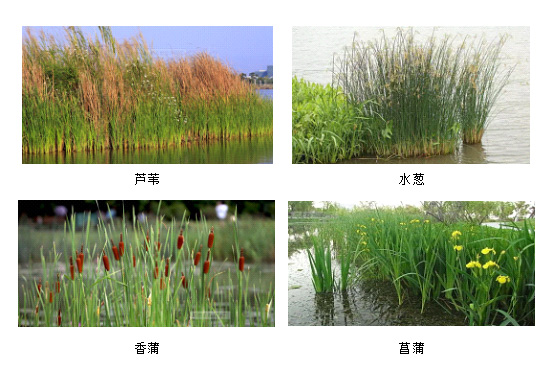 1611580187816331.jpg 微信圖片_20210125210918.jpg