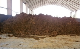 1618986764383965.jpg 石膏1.jpg