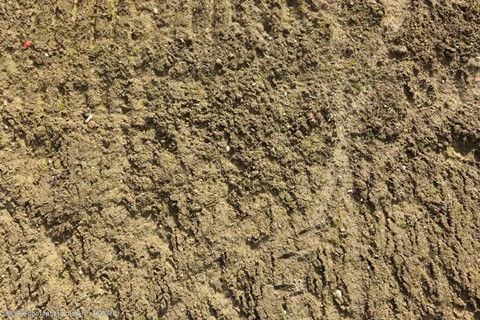 <a href=http://www.gjsfb998.com/turangjiance.html>土壤檢測</a> 土壤檢測