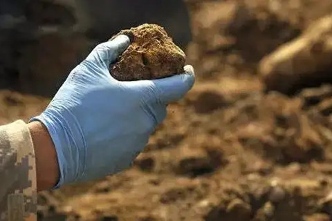 <a href=http://www.gjsfb998.com/turangjiance.html>土壤檢測</a> 土壤檢測