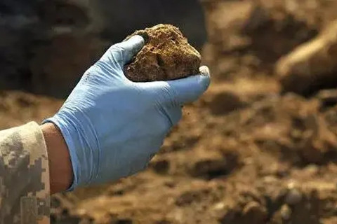 <a href=http://www.gjsfb998.com/turangjiance.html>土壤檢測</a>.jpg 土壤檢測.jpg